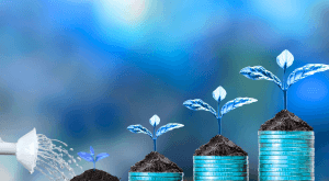 Verification background