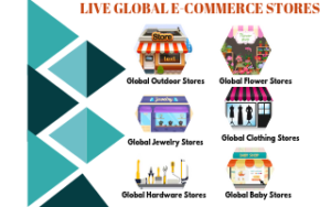 Ecommerce Stores Website offer