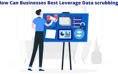 How Can Businesses Best Leverage Data scrubbing?