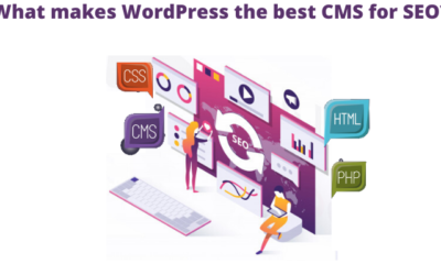 What makes WordPress the best CMS for SEO?