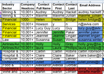 CRM Cleaning sample sheet