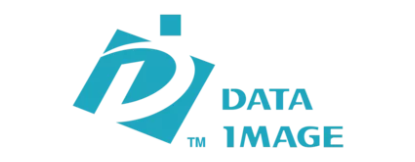 Data Image logo