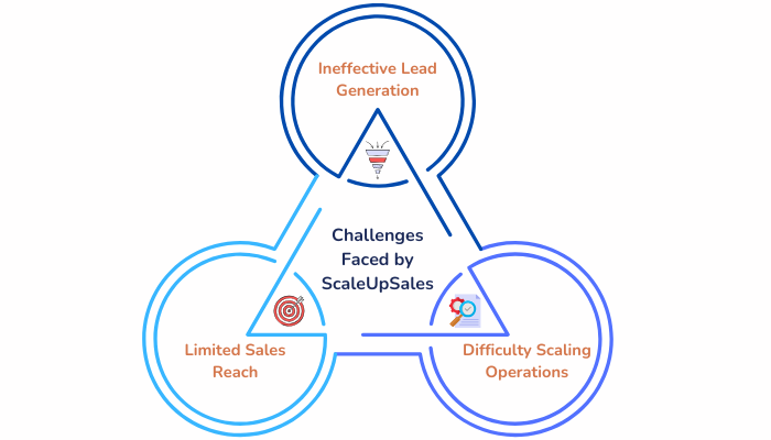 Challenges Faced by ScaleUpSales