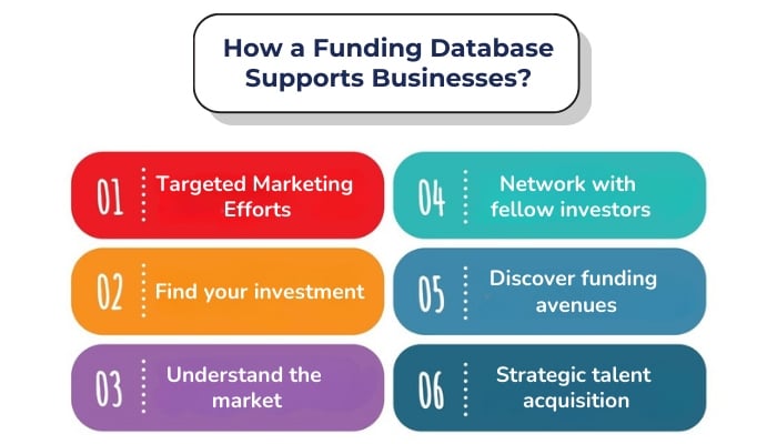 How a Funding Database Supports Businesses