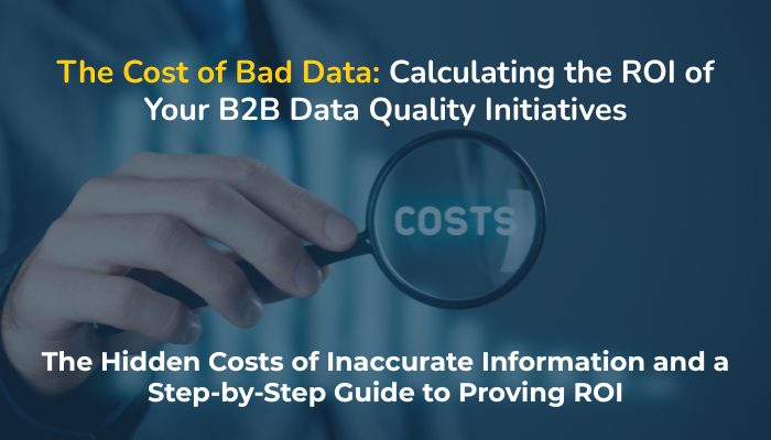 The Cost of Bad Data: Calculating the ROI of Your B2B Data Quality Initiatives